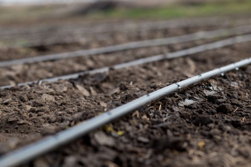 Commercial Irrigation Service in Honolulu, HI