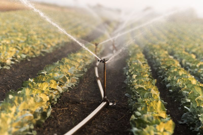 Crop Irrigation Installation in Ventura County, CA