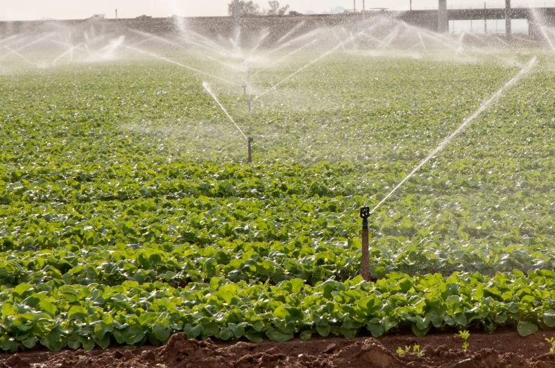 Inground Sprinkler Repair in Honolulu, HI