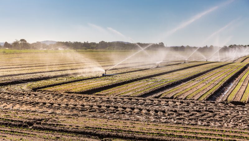 Irrigation Installation in Honolulu, HI