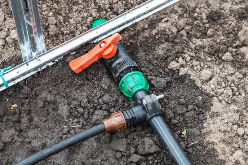 Lawn Irrigation Installation in Honolulu, HI