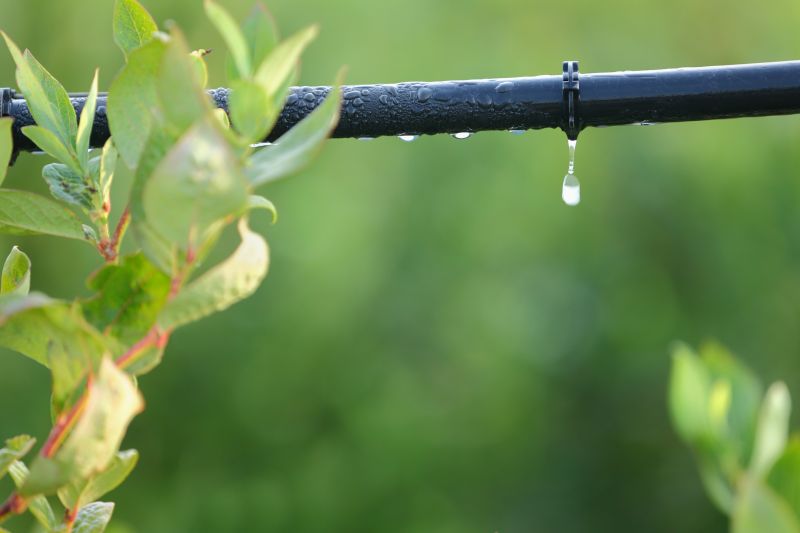 Honolulu, HI